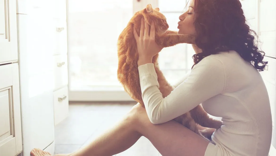 A person warmly holding an orange cat in soft light
